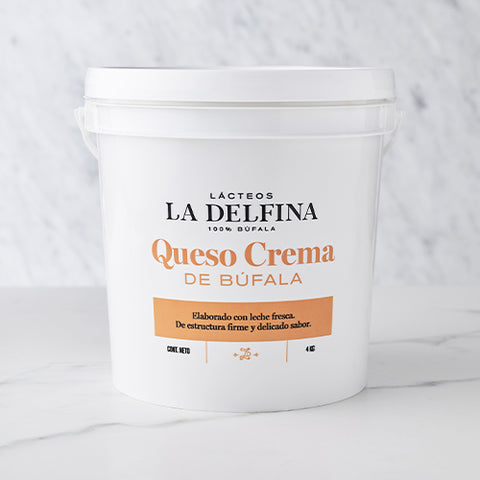 Queso crema 4 Kg